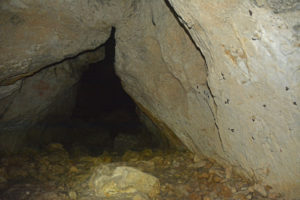Höhlenexkursion in die Grotte aux Fées bei Vallorbe (Kanton Waadt), CC-BY-SA-4.0 Rudolf Bryner Biel Switzerland