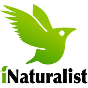 Logo. iNaturalist. Press