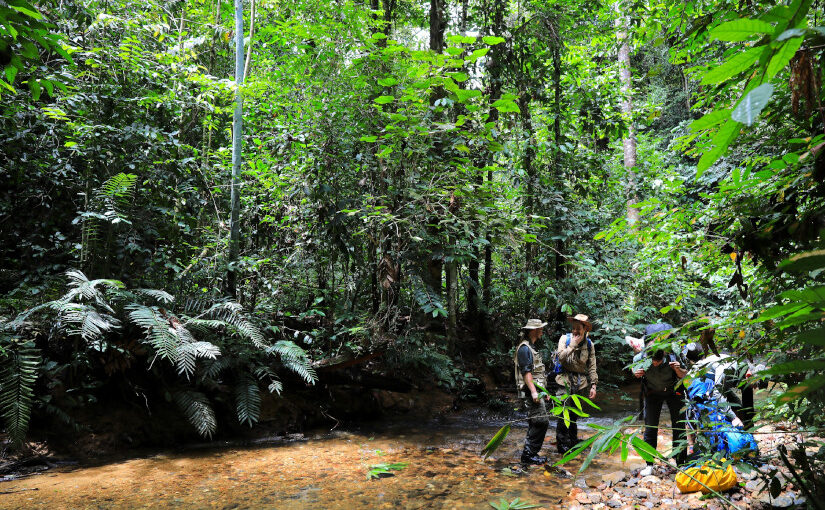 <span style="color: #ff0000;">[ONLINE]</span>  Borneo, ein Eldorado für den Biodiversitätsforscher